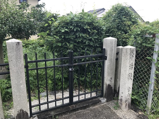 BA591A83-D21E-4EC4-9CAD-D69792231736