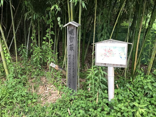 900A104D-A833-4A55-8CD2-6389DE91CC50