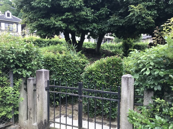 5D59F5A7-29FE-40D0-A0DC-51ABAFB6DC84