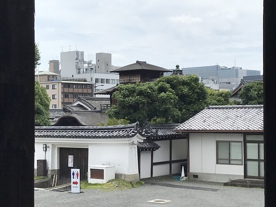 E3D4A2F0-4934-4AA3-891C-EBDA0167D43F