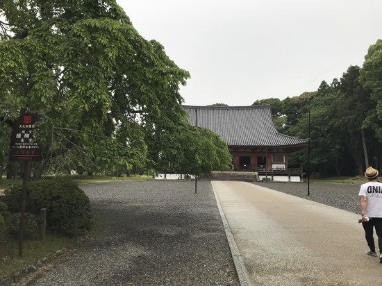 F09CED5F-BB64-4202-9B09-A3095F78DEBC