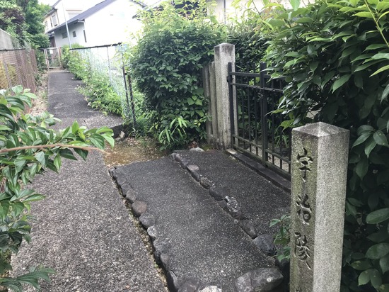 13FBECCD-89B6-47CE-AA8A-90B3352909BA