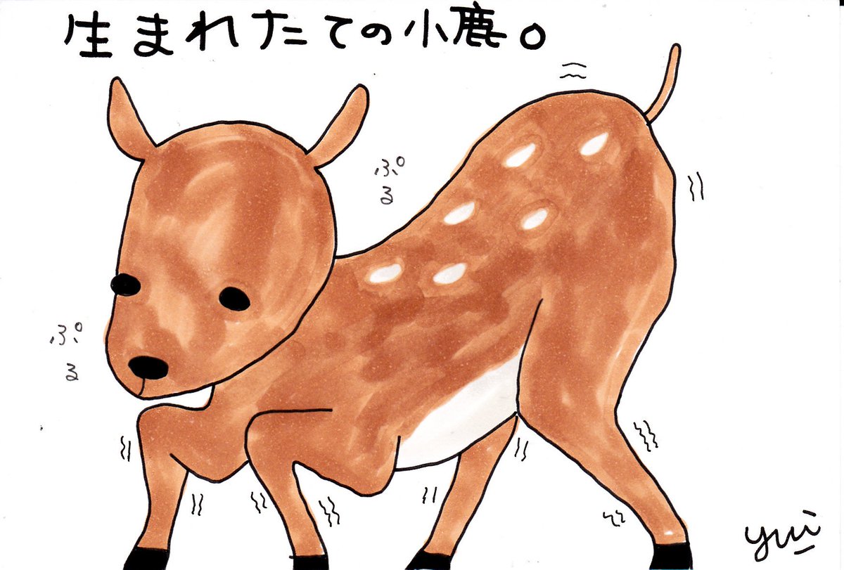 コソ練の日々 エロビス氏の気ままにfunride