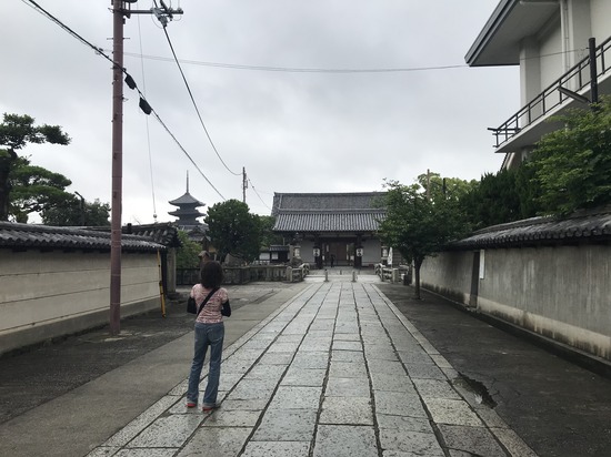 440120B0-641C-46DC-A6D4-03FF75EDE986