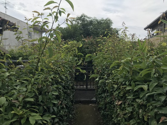 B3B607E6-3136-43B3-996F-33F9EBF9F7D7