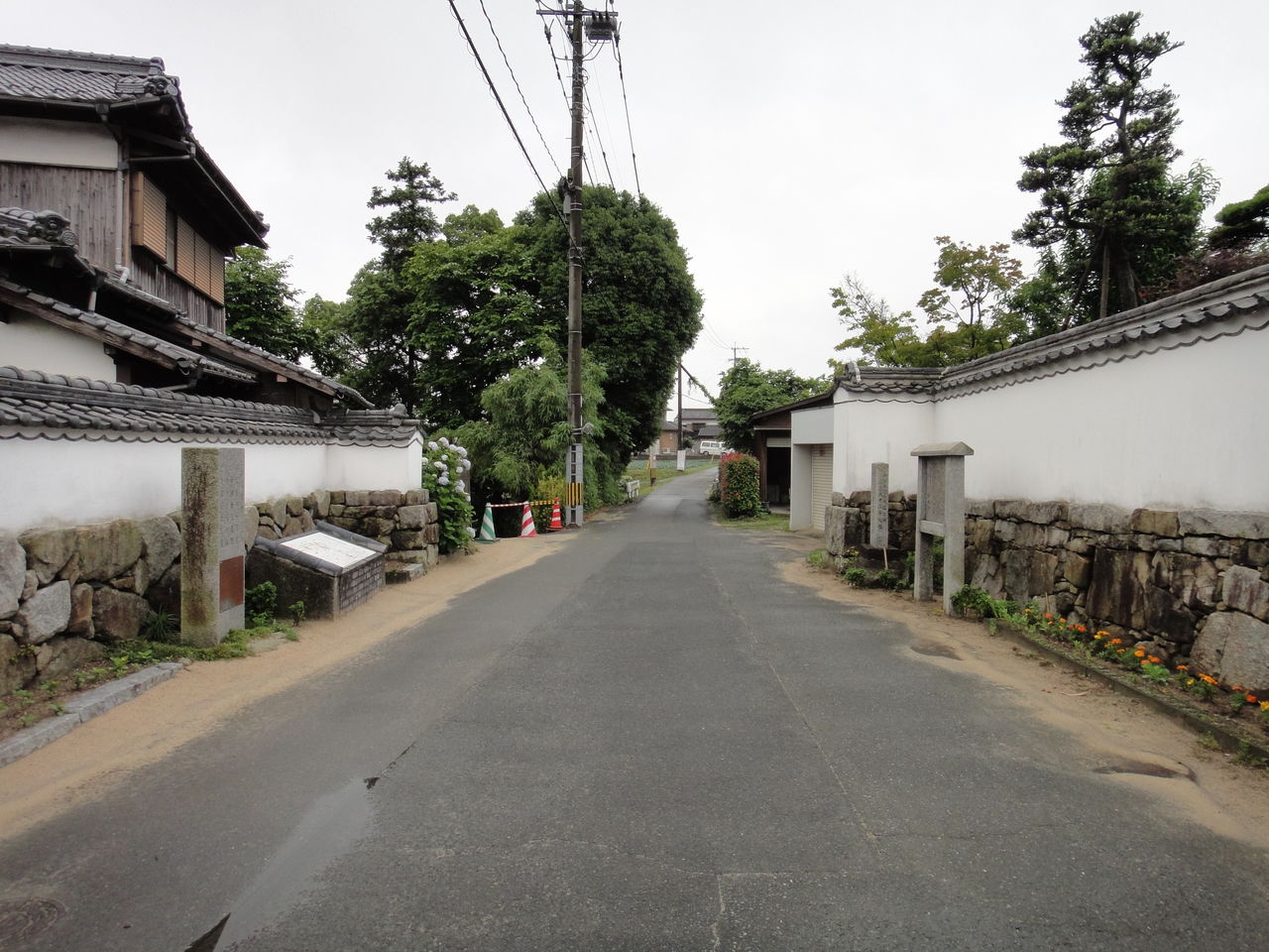 DSC02500