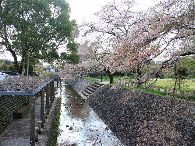 ポケモンgoプレイ日記 Pokemongo 岐阜県版