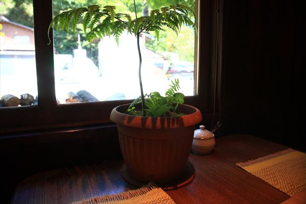 白川郷にあるカフェ コーヒー屋 鄙 ひな 岐阜sweets Labo 白川郷にあるカフェ コーヒー屋 鄙 ひな 岐阜sweets Labo