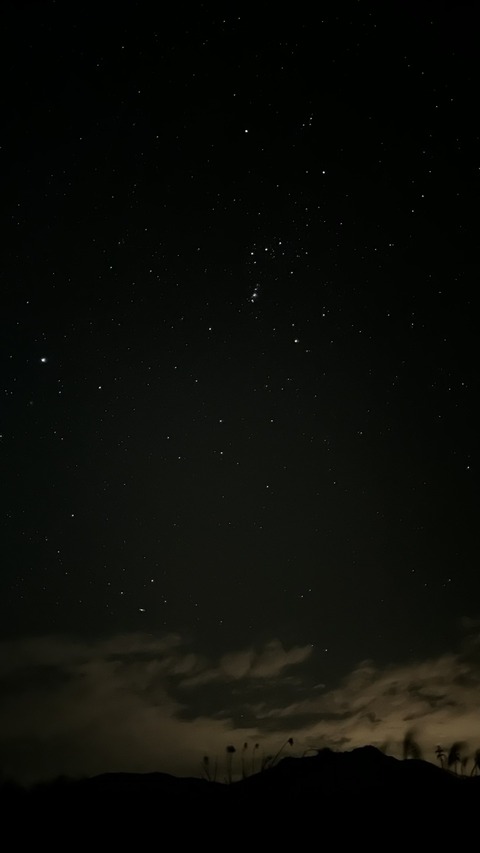 S__581386243