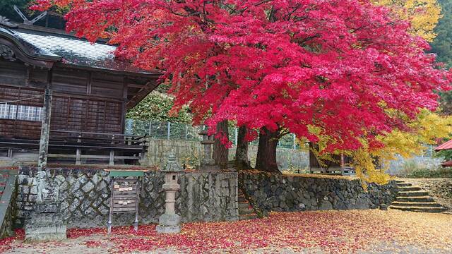 蒜山 徳山神社 福田神社 の紅葉と神代の四季桜 毎日を楽しく生きる