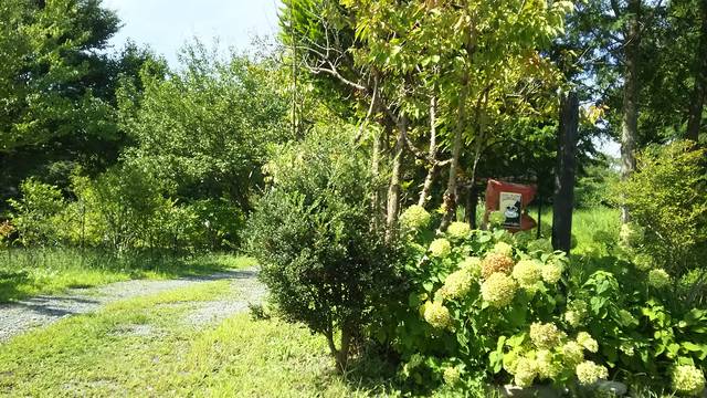 蒜山のカフェ 星の杜 毎日を楽しく生きる 蒜山のカフェ 星の杜 毎日を楽しく生きる