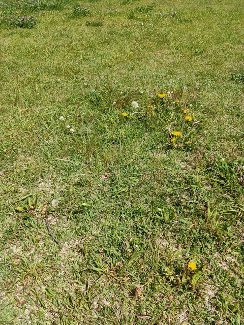 IMG20200507133144
