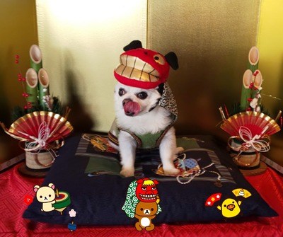 19-12-30-17-26-15-193_deco