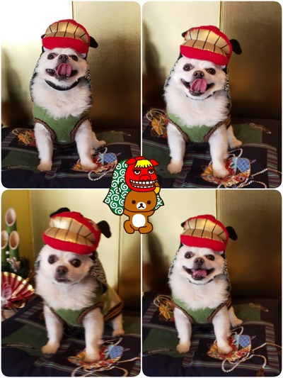 19-12-30-17-34-02-825_deco