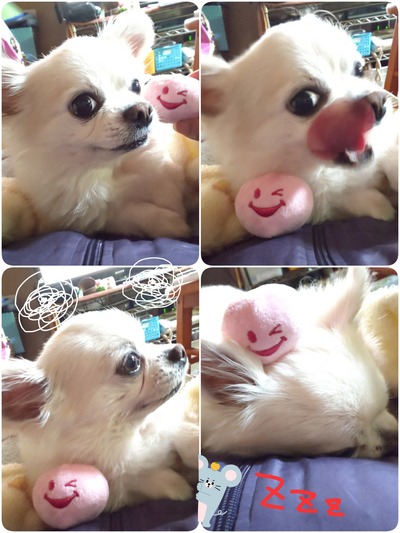 20-01-02-21-23-13-028_deco