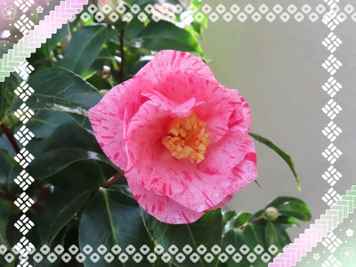 20-11-30-08-59-16-885_deco