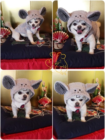 19-12-30-17-37-58-181_deco