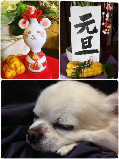 20-01-01-13-49-32-967_deco