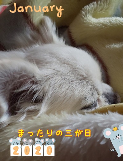 20-01-03-22-08-29-054_deco