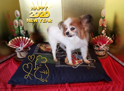 19-12-27-16-50-00-690_deco