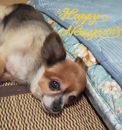 20-01-01-08-01-17-525_deco