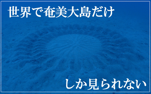 ミステリーサークル
