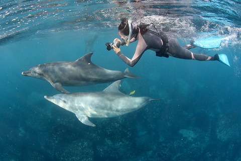 6bdd00b4-1775-4ea9-808e-55a4544f2f93[1]