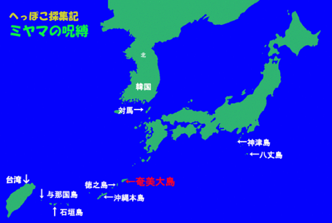 奄美はここ