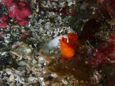 P6060045