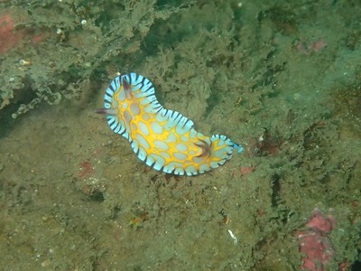 P5180192