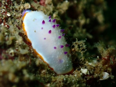 P5170149