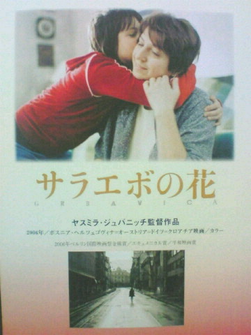 サラエボの花 ネタバレあり エミの気紛れ日記 サラエボの花 ネタバレあり エミの気紛れ日記