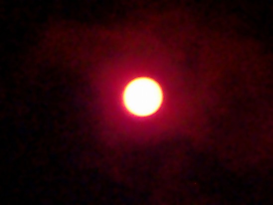 s-CIMG3553