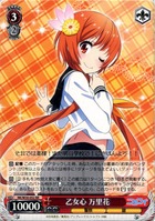 NK-W30-052RR