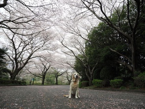 766E7FB2-9DD5-4A80-BD51-68C9309C4641