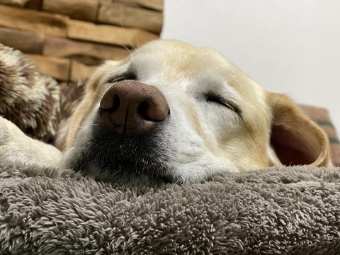 7F102590-9293-49A9-A230-B8B13A62CC36