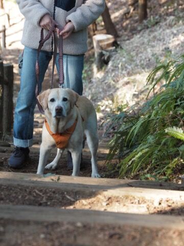 63F034B4-9C59-4DEA-9B78-46766BD24DB7