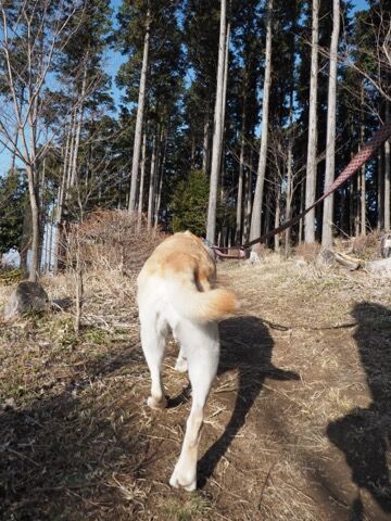 1692CE6D-6823-47B1-8521-5B0C157D8894