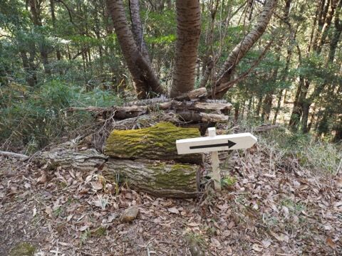 C708C454-4748-4BE9-82C8-0E55970DB0D0