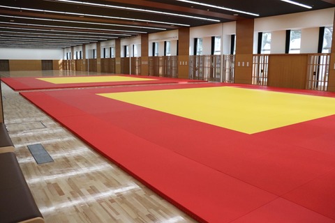 武道