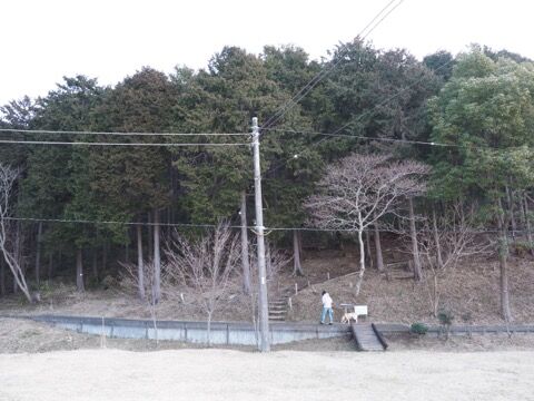 ABAADF08-FF8E-44FF-9219-27E1E2597385