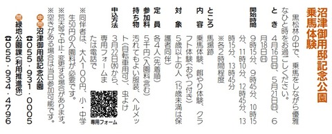 乗馬体験