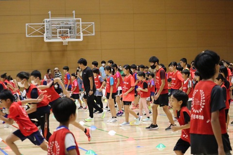 桐生6