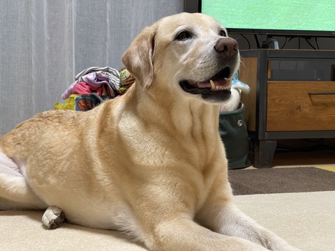 57FF3C1C-8DE6-4765-B859-2F0B01C85E7C