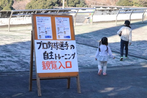 野球①