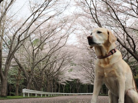 9E340735-26E8-4312-9B79-41A05A2A86DB