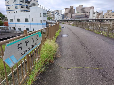 狩野川堤01