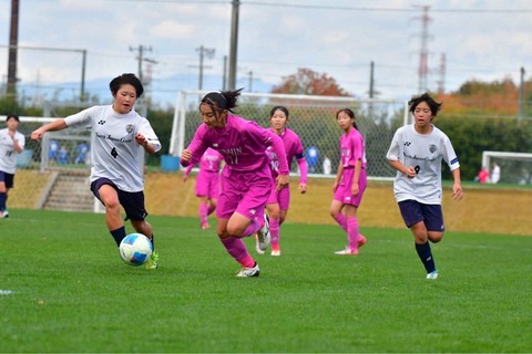 70995c41-d1f4-46d9-bb2c-13ab55fadd1d