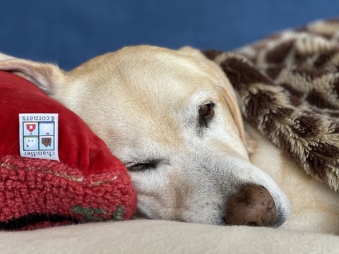 679FFC9D-32D4-4281-B8B6-BCD92730A75F