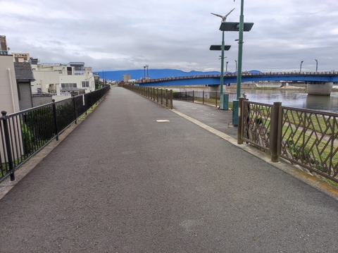 狩野川堤02